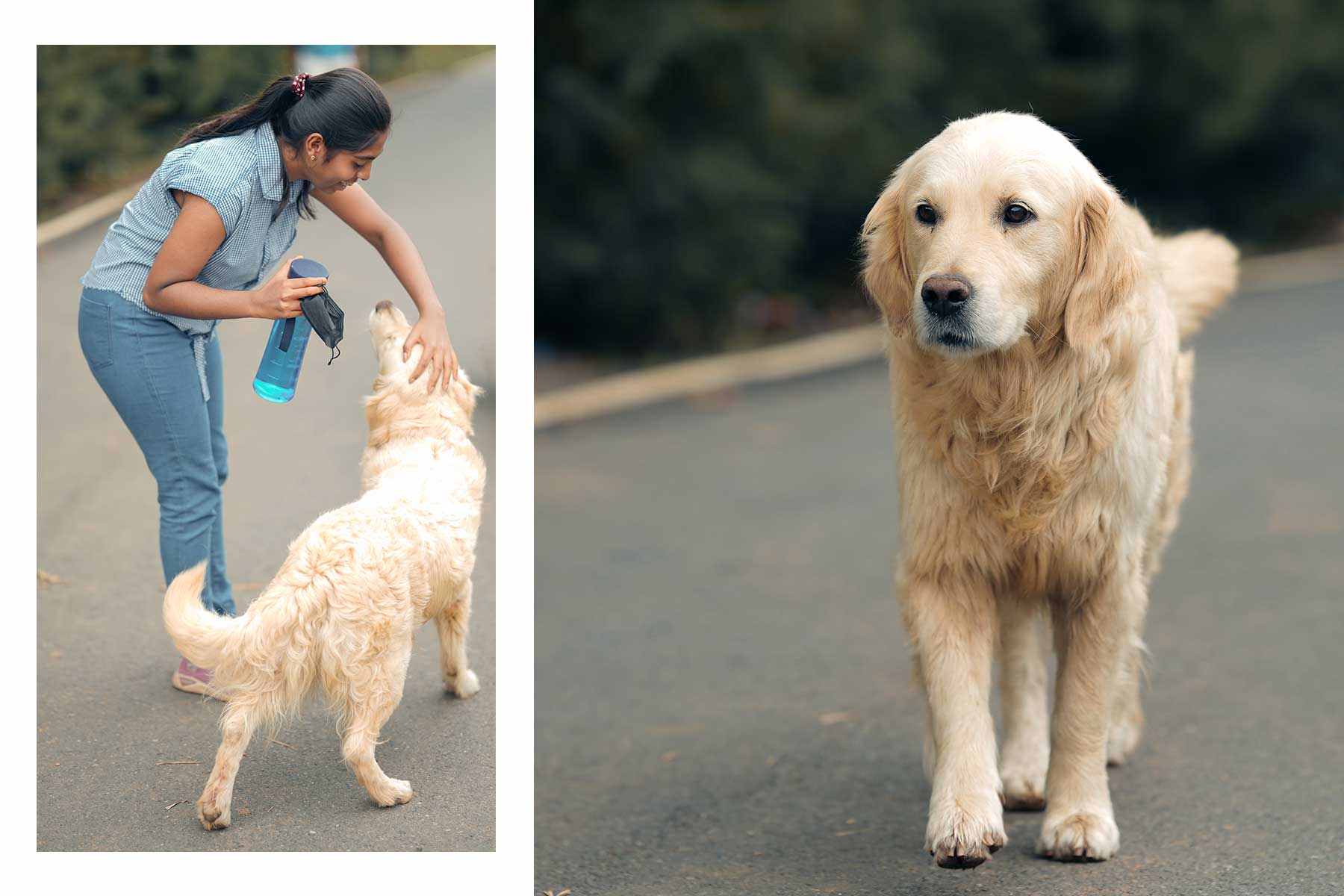 akash-kaviya image 36